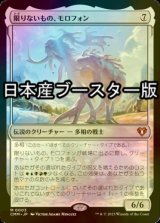 [FOIL] 限りないもの、モロフォン/Morophon, the Boundless ● (日本産ブースター版) 【日本語版】 [CMM-無MR]