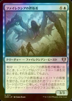 画像1: [FOIL] ファイレクシアの摂取者/Phyrexian Ingester 【日本語版】 [CMM-青U]