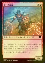 [FOIL] 生ける稲妻/Living Lightning 【日本語版】 [CMM-赤C]