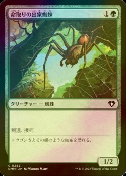 画像1: [FOIL] 命取りの出家蜘蛛/Deadly Recluse 【日本語版】 [CMM-緑C]