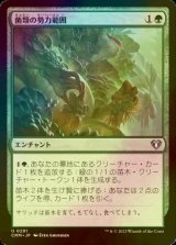 [FOIL] 菌類の勢力範囲/Fungal Plots 【日本語版】 [CMM-緑U]