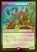 [FOIL] 生命線のハイドラ/Lifeblood Hydra 【日本語版】 [CMM-緑R]