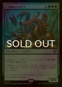 [FOIL] 生命線のハイドラ/Lifeblood Hydra 【日本語版】 [CMM-緑R]