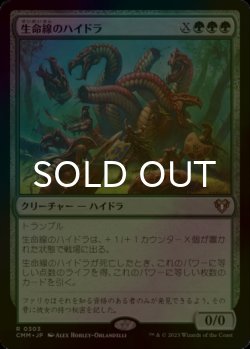 画像1: [FOIL] 生命線のハイドラ/Lifeblood Hydra 【日本語版】 [CMM-緑R]