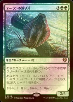 画像1: [FOIL] オーランの凍り牙/Ohran Frostfang 【日本語版】 [CMM-緑R]