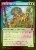 [FOIL] 古木のヴァーデロス/Verdeloth the Ancient 【日本語版】 [CMM-緑U]