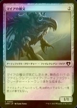 [FOIL] マイアの種父/Myr Sire 【日本語版】 [CMM-灰C]