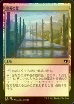 画像1: [FOIL] 祖先の道/Path of Ancestry 【日本語版】 [CMM-土地C]