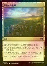 [FOIL] 興隆する荒野/Thriving Heath 【日本語版】 [CMM-土地C]