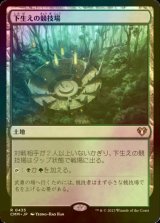 [FOIL] 下生えの競技場/Undergrowth Stadium 【日本語版】 [CMM-土地R]