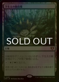 [FOIL] 下生えの競技場/Undergrowth Stadium 【日本語版】 [CMM-土地R]