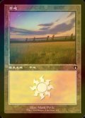 [FOIL] 平地/Plains No.439 (旧枠) 【日本語版】 [CMM-土地C]