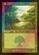 [FOIL] 森/Forest No.450 (旧枠) 【日本語版】 [CMM-土地C]