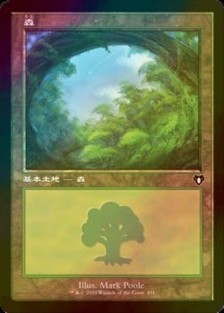 画像1: [FOIL] 森/Forest No.451 (旧枠) 【日本語版】 [CMM-土地C]