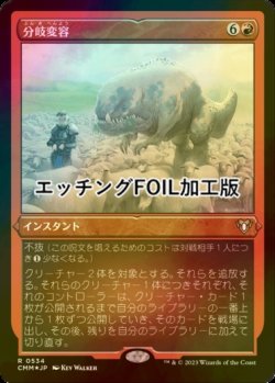 画像1: [FOIL] 分岐変容/Divergent Transformations (エッチング仕様) 【日本語版】 [CMM-赤R]