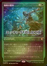 [FOIL] 蜘蛛の襲来/Arachnogenesis (エッチング仕様) 【日本語版】 [CMM-緑R]