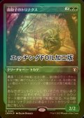 [FOIL] 血胞子のトリナクス/Bloodspore Thrinax (エッチング仕様) 【日本語版】 [CMM-緑R]