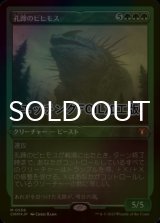 [FOIL] 孔蹄のビヒモス/Craterhoof Behemoth (エッチング仕様) 【日本語版】 [CMM-緑MR]