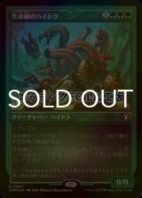 [FOIL] 生命線のハイドラ/Lifeblood Hydra (エッチング仕様) 【日本語版】 [CMM-緑R]