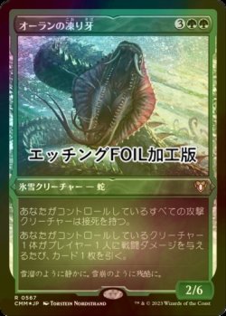 画像1: [FOIL] オーランの凍り牙/Ohran Frostfang (エッチング仕様) 【日本語版】 [CMM-緑R]