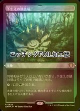 [FOIL] 下生えの競技場/Undergrowth Stadium (エッチング仕様) 【日本語版】 [CMM-土地R]