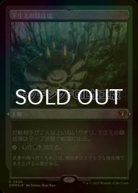 [FOIL] 下生えの競技場/Undergrowth Stadium (エッチング仕様) 【日本語版】 [CMM-土地R]