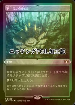 画像1: [FOIL] 下生えの競技場/Undergrowth Stadium (エッチング仕様) 【日本語版】 [CMM-土地R]