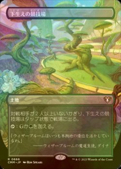 画像1: [FOIL] 下生えの競技場/Undergrowth Stadium (全面アート・海外産ブースター版) 【日本語版】 [CMM-土地R]