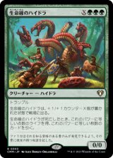 生命線のハイドラ/Lifeblood Hydra 【日本語版】 [CMM-緑R]