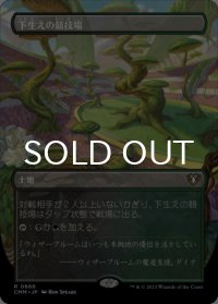 下生えの競技場/Undergrowth Stadium (全面アート版) 【日本語版】 [CMM-土地R]