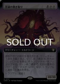忠誠の剥ぎ取り/Flayer of Loyalties (拡張アート版) 【日本語版】 [CMM-無R]