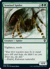 歩哨蜘蛛/Sentinel Spider 【英語版】 [CMR-緑C]
