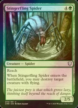 画像1: [FOIL] 棘投げの蜘蛛/Stingerfling Spider 【英語版】 [CMR-緑U]