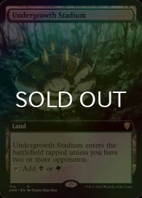 [FOIL] 下生えの競技場/Undergrowth Stadium (拡張アート版) 【英語版】 [CMR-土地R]
