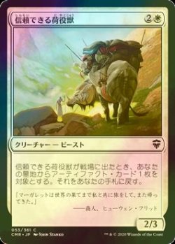 画像1: [FOIL] 信頼できる荷役獣/Trusty Packbeast 【日本語版】 [CMR-白C]