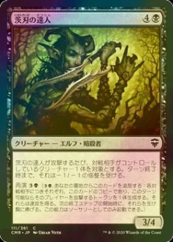 画像1: [FOIL] 茨刃の達人/Briarblade Adept 【日本語版】 [CMR-黒C]