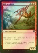 [FOIL] 鱗剥ぎの捕食者/Ripscale Predator 【日本語版】 [CMR-赤C]