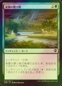 画像1: [FOIL] 楽園の贈り物/Gift of Paradise 【日本語版】 [CMR-緑C]