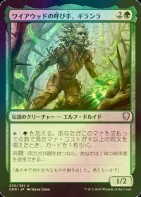 [FOIL] ワイアウッドの呼び手、ギランラ/Gilanra, Caller of Wirewood 【日本語版】 [CMR-緑U]