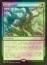 [FOIL] カマールの意志/Kamahl's Will 【日本語版】 [CMR-緑R]