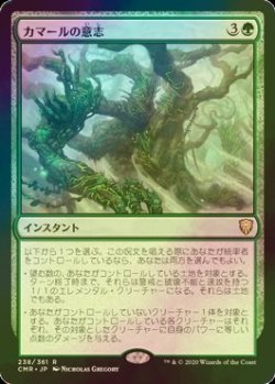 画像1: [FOIL] カマールの意志/Kamahl's Will 【日本語版】 [CMR-緑R]