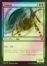 [FOIL] 歩哨蜘蛛/Sentinel Spider 【日本語版】 [CMR-緑C]