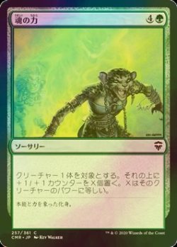画像1: [FOIL] 魂の力/Soul's Might 【日本語版】 [CMR-緑C]