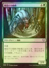 [FOIL] 棘投げの蜘蛛/Stingerfling Spider 【日本語版】 [CMR-緑U]