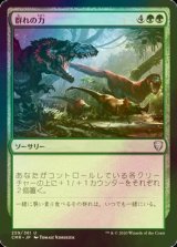 [FOIL] 群れの力/Strength of the Pack 【日本語版】 [CMR-緑U]