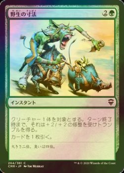 画像1: [FOIL] 野生の寸法/Wildsize 【日本語版】 [CMR-緑C]