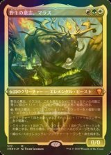 [FOIL] 野生の意志、マラス/Marath, Will of the Wild (エッチング仕様) 【日本語版】 [CMR-金MR]