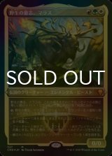 [FOIL] 野生の意志、マラス/Marath, Will of the Wild (エッチング仕様) 【日本語版】 [CMR-金MR]