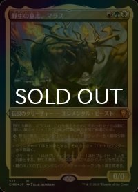 [FOIL] 野生の意志、マラス/Marath, Will of the Wild (エッチング仕様) 【日本語版】 [CMR-金MR]