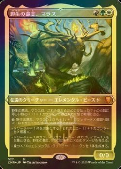 画像1: [FOIL] 野生の意志、マラス/Marath, Will of the Wild (エッチング仕様) 【日本語版】 [CMR-金MR]